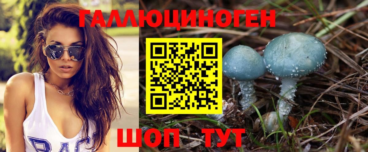 Псилоцибиновые грибы MAGIC MUSHROOMS  Вход с VPN  где найти   Кузнецк 